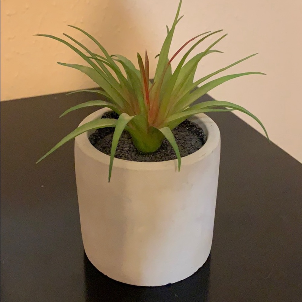 Fake Decorating Plan